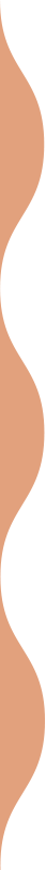 https://palade.si/wp-content/uploads/2021/09/vertical_wave_about_03.png
