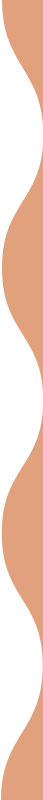 https://palade.si/wp-content/uploads/2021/09/vertical_wave_accent.png